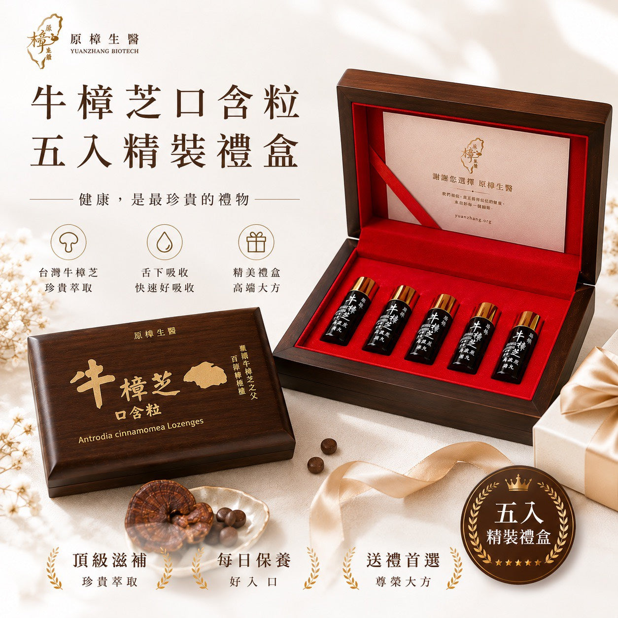 精緻木盒 × 牛樟芝口含粒|尊享5入組