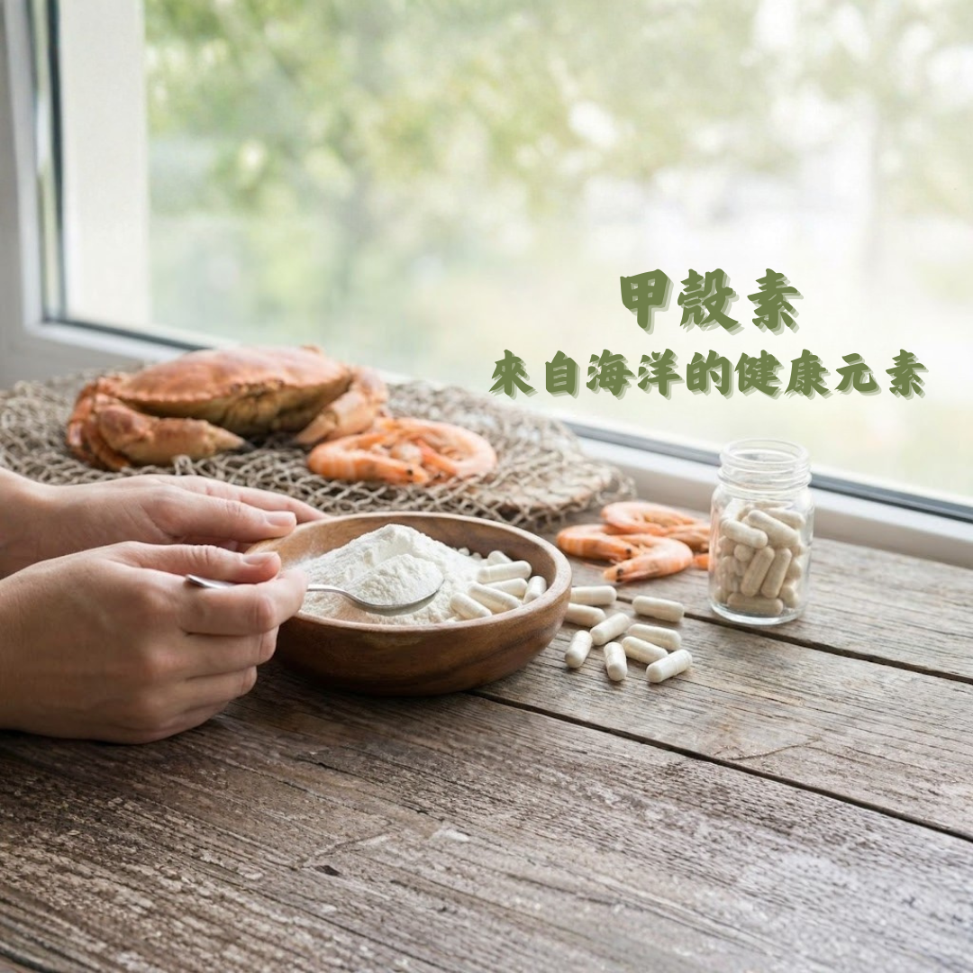 甲殼素 – 天然健康守護的好幫手