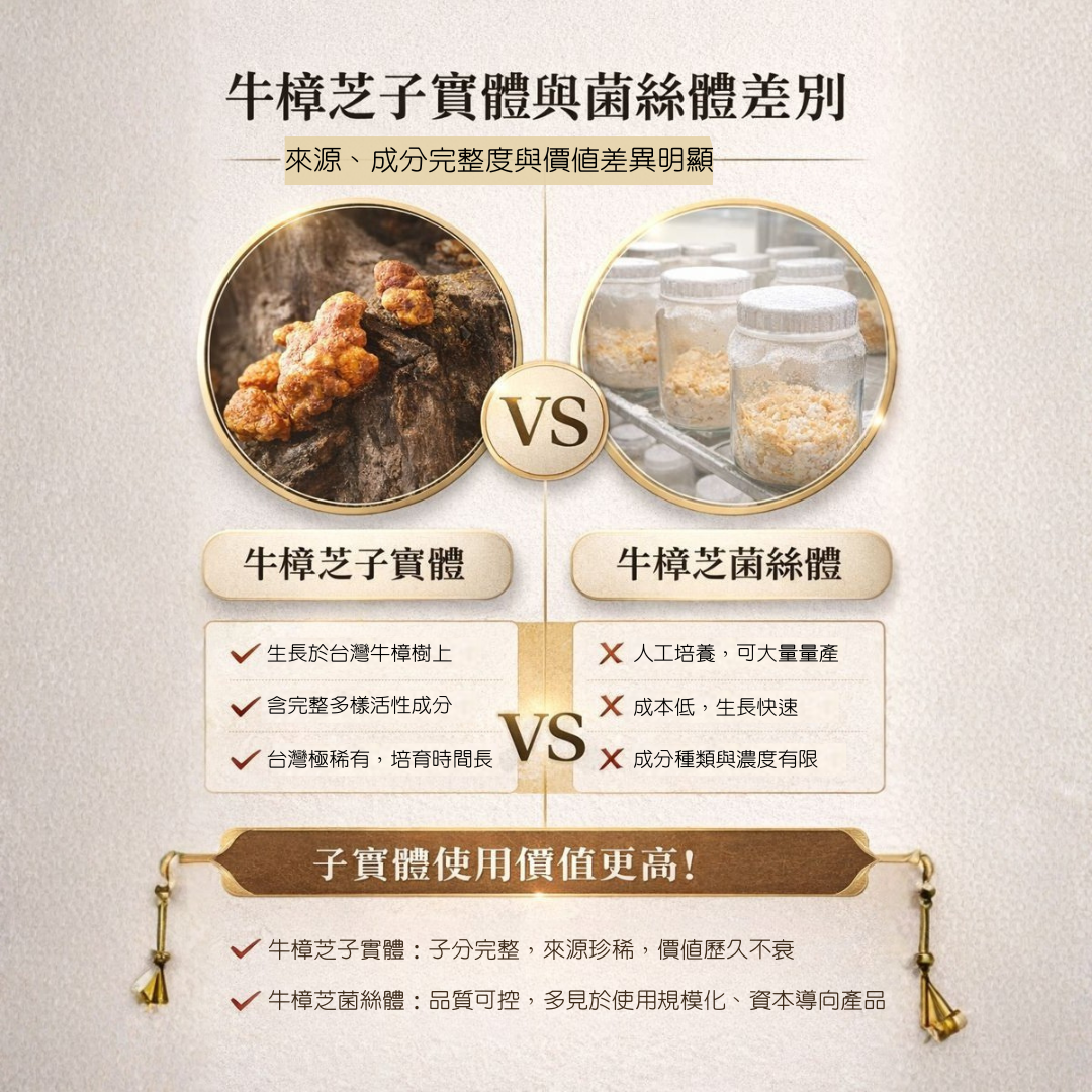 牛樟芝子實體與菌絲體有什麼差別？