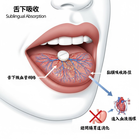 舌下吸收是什麼?