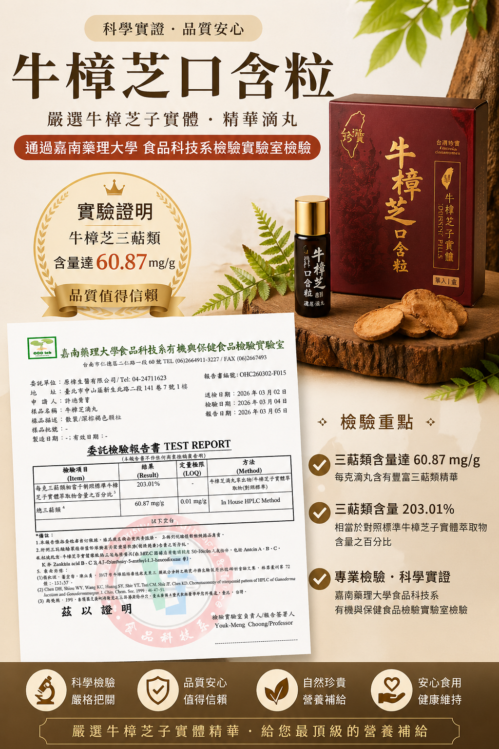 檢驗報告 3