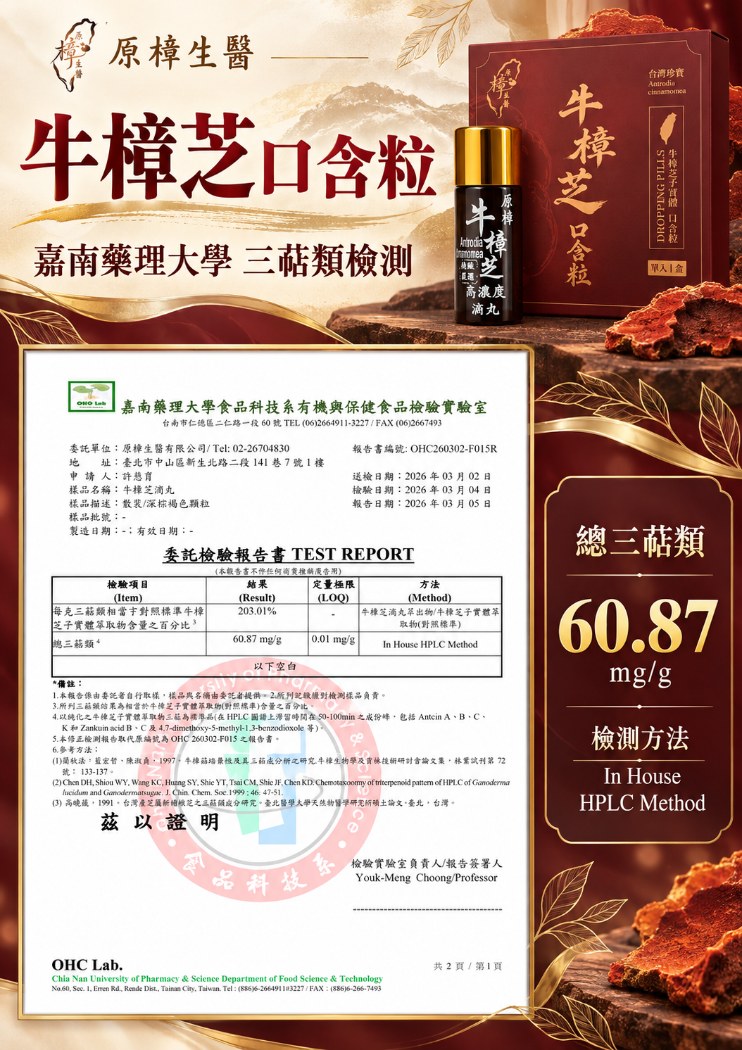 檢驗報告 2